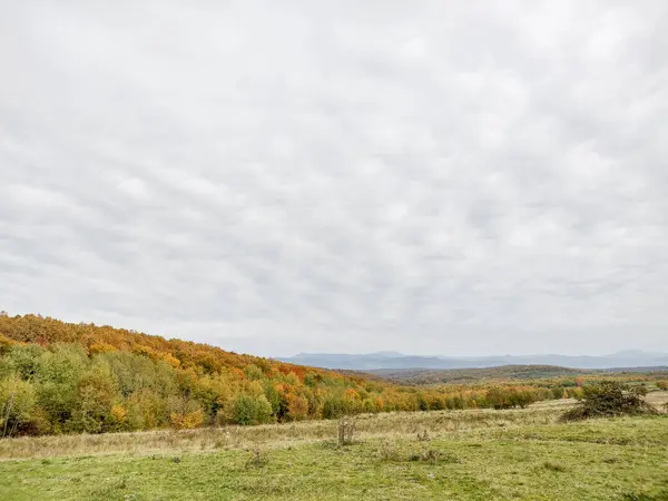 Les Říjnu Okrese Maramures Rumunsko Podzimní Krajina — Stock fotografie