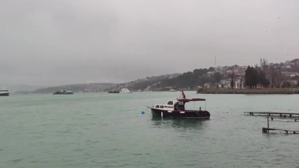 冷たい雪と雨の日にビーチでのボートと海のビデオ — ストック動画