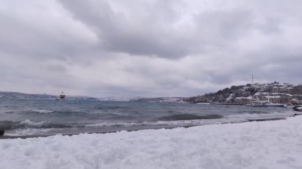 Ondas Mar Pássaros Voadores Costa Beykoz — Vídeo de Stock