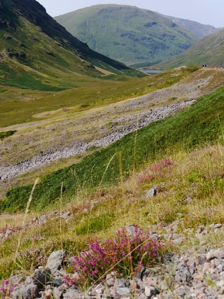 Vista vertical do vale com urze em Glencoe, Terras Altas da Escócia — Fotografia de Stock