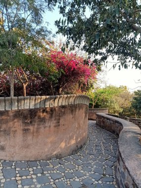 Bahçedeki taş patika