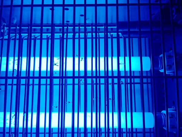 Elektryczne Komary Zawory Owadów Włączonymi Niebieskimi Światłami — Zdjęcie stockowe
