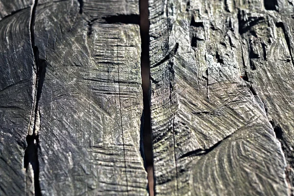 Çam ormanındaki eski harap ahşap masa.