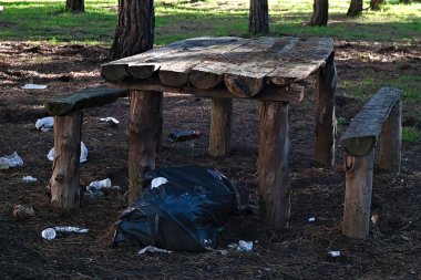 Çam ormanındaki çöpler insan aptallığına tanıklık etmek için bırakılmış.