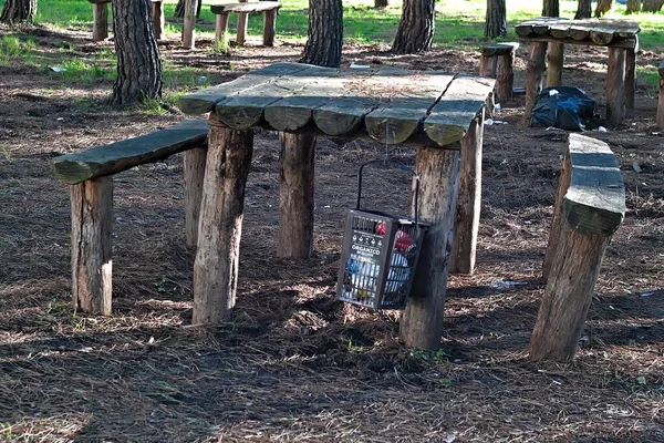 Çam ormanındaki çöpler insan aptallığına tanıklık etmek için bırakılmış.