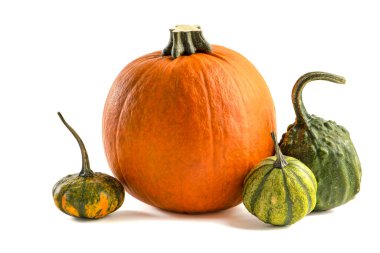 Beyaz arka planda bir balkabağı. Dekoratif balkabağı, beyaz üzerine izole edilmiş cadılar bayramı projenize veya tasarımınıza eklemek için. Üç portakal kabağı yığılmış bir yığın gölgeye