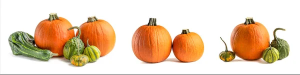 Jesienny zestaw dyń izolowanych na białym tle do dekoracji Halloween. Zestaw dyń o różnych kolorach i kształtach, zielony i pomarańczowy — Zdjęcie stockowe