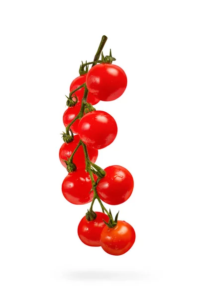 Kirschtomaten isolieren sich auf weiß. Ein Bund kleiner Tomaten in Großaufnahme, kleine rote Tomaten auf einem Zweig werfen einen Schatten. — Stockfoto