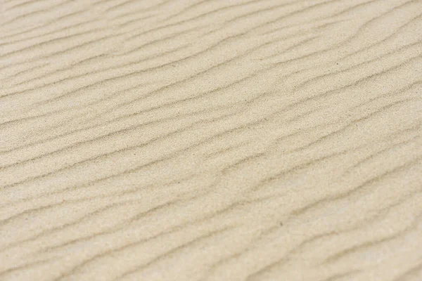 Desert sand dunes texture. Waves on the yellow sands of the desert. Close-up of a sandy beach. — стоковое фото