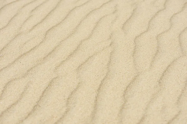 Desert sand dunes texture. Waves on the yellow sands of the desert. Close-up of a sandy beach. — стоковое фото