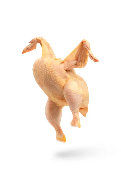 Курица сырая, отбрасывает тень, расправляет крылья. Сырая курица выделена на белом фоне. Желтоватая кукуруза — стоковое фото