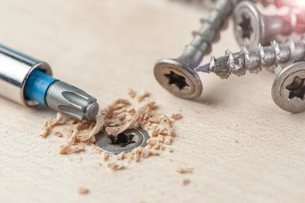 Screw the screw into the board. Furniture production, a screwdriver twists a self-tapping screw into a board. Several silver screws lie on the desktop — Stock Photo, Image