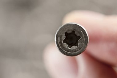 Bir adam vida tutar, yakın plan. Tahta mobilya üretimi için vidalar. Tamir ve onarım aletleri. Torx başlıklı paslanmaz çelik cıvatalar.