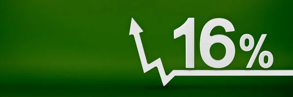 16 percent. The arrow on the graph points up. Rising prices, inflation, increase in income, increase in interest rates, taxes. 3d banner, sixteen percent sign discount on a green background. — Stockfoto