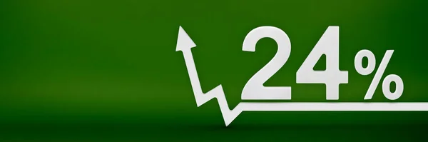 24 percent. The arrow on the graph points up. Rising prices, inflation, increase in income, increase in interest rates, taxes. 3d banner, twenty four percent sign discount on a green background. — Stockfoto