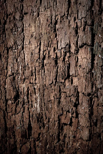 亀裂と古い木の質感。古い、割れた木の背景、高解像度. — ストック写真