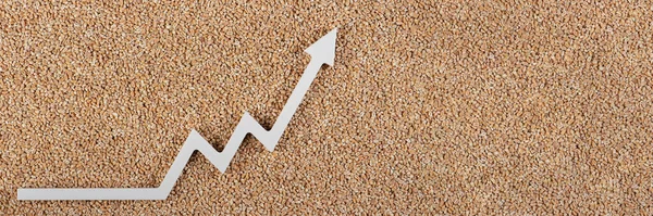 Export Price Wheat Reducing Exports Wheat Grain World Food Crisis — Stock Photo, Image