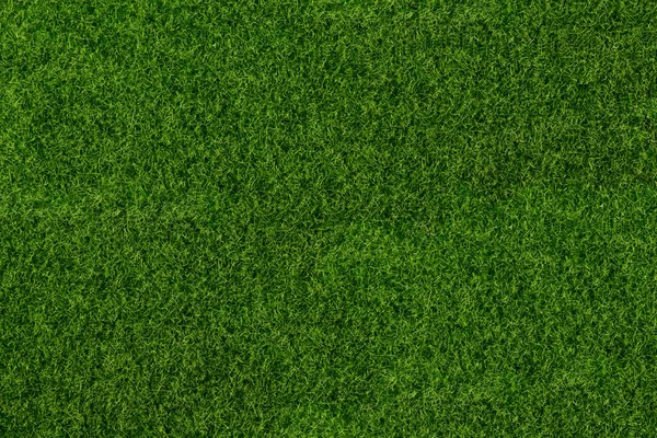 Green Grass Top View Mowed Lawn Background Project Theme Ecology — Foto de Stock