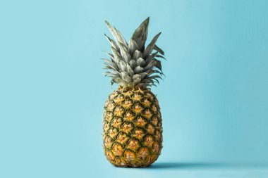 Mavi arka planda tam bir ananas. Tropik hissi olan yaz arkaplanı