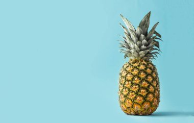 Mavi arka planda tüm ananas ve boş alan. Tropik hissi olan yaz arkaplanı