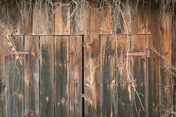 Alter Retro Holzhintergrund Mit Rustikalen Scheunentoren Den Bäumen — Stockfoto