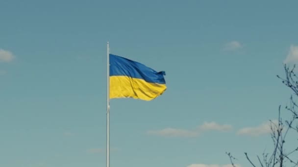 Великий Жовтий Синій Український Прапор Махає Вітром Повільному Русі Символ — стокове відео
