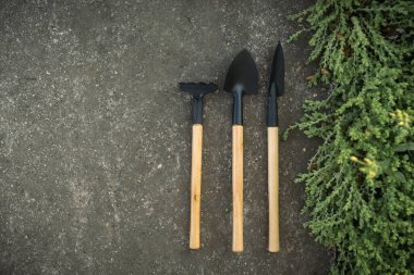 Bahçe aletleri ve çatal bıçak çimenli beton arka planda. Üst Manzara. Hobi konsepti