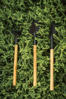 Arka plan olarak yeşil çimenler üzerinde bahçe aletleri ve mutfak aletleri. Üst Manzara. Hobi konsepti