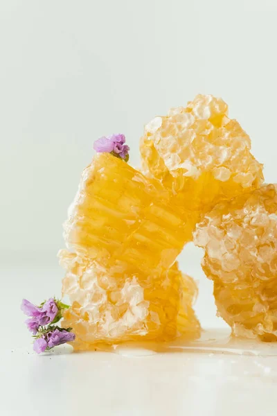 Honeycomb Full Fresh Honey White Bowl Honeycomb Honey Deeper Wild — стоковое фото