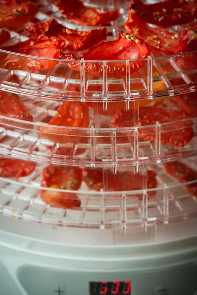 Tomato drying process in a food dehydrator. Homemade sun-dried tomatoes