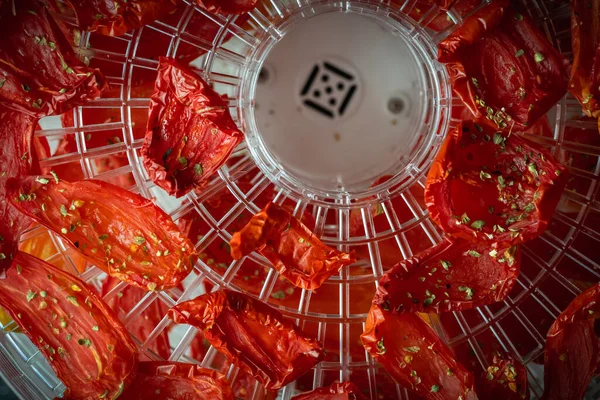 Tomato drying process in a food dehydrator. Homemade sun-dried tomatoes