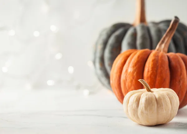 Orange grey and white pumpkins on the white background. Halloween background with bokeh lights behind