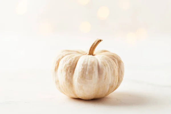 White pumpkin isolated on the white background. Halloween background with bokeh lights behind