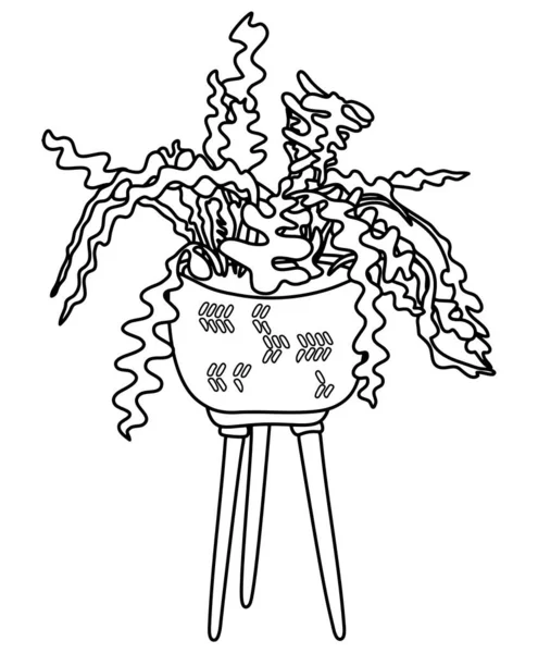 花びらの中のエピフィラム植物 魚骨サボテン 屋内植物ベクトルドアイラスト 線手描き — ストックベクタ