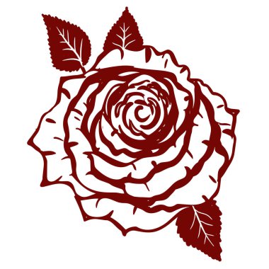 Beyaz arkaplanda izole edilmiş vuruşlarda vektör el çizilmiş gül çiçeği simgesi