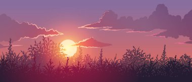 Gün batımında çiçek açan çayırın vektör silueti