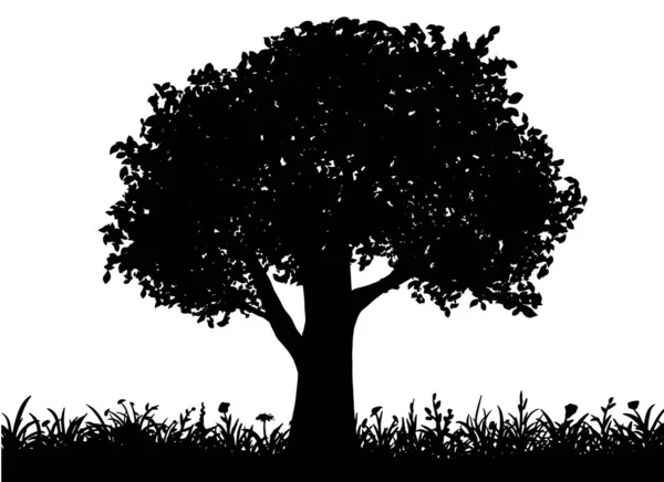 Πράσινο διανυσματικό δέντρο σε ανθοφόρο σιλουέτα χόρτου που απομονώνεται σε λευκό φόντο — Διανυσματικό Αρχείο
