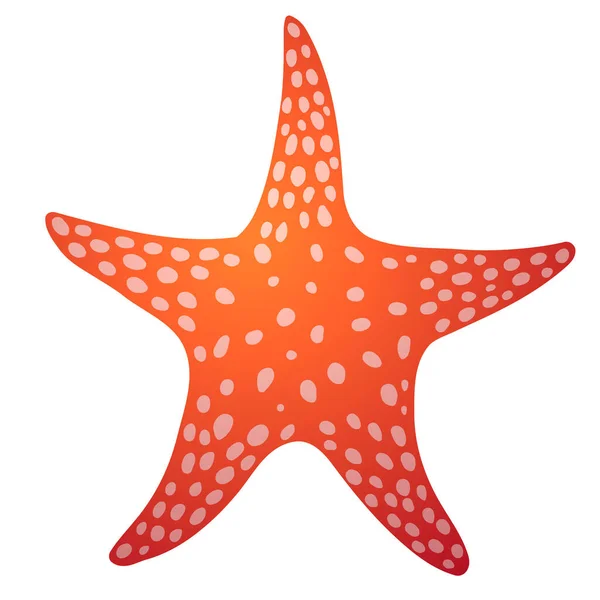 Illustration vectorielle étoile de mer sur fond blanc. — Image vectorielle