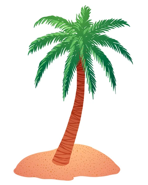 Vector illustratie palmboom op zand geïsoleerd op witte achtergrond. — Stockvector