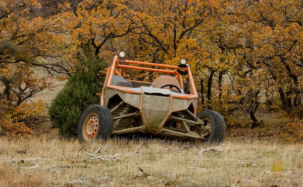 Buggy Forest Autumn Day Close — Stock Photo, Image