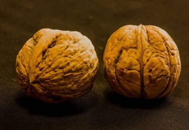 Karanlık bir arka planda olgun, güzel bir ceviz. yakın plan