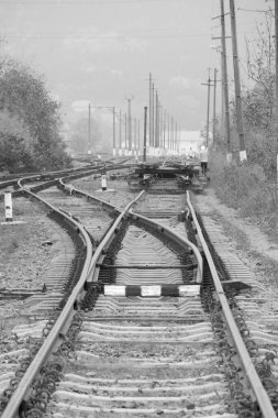 Demiryolu şubesi, genel görüş