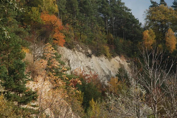 Une Vieille Carrière Craie Abandonnée Automne Doré Dans Forêt Automne — Photo