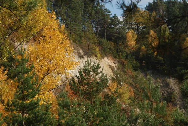 Une Vieille Carrière Craie Abandonnée Automne Doré Dans Forêt Automne — Photo