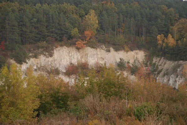 Stary Opuszczony Kamieniołom Kredowy Złota Jesień Lesie Złota Jesień Jesienny — Zdjęcie stockowe