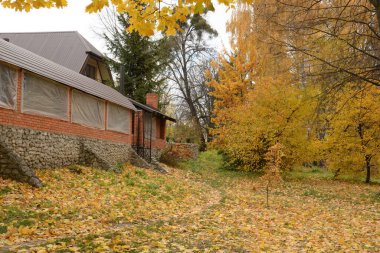 eski Park altın sonbahar