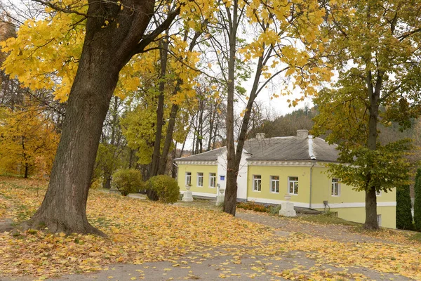 Gouden Herfst Het Oude Park — Stockfoto