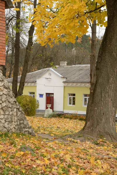 Arany Ősz Régi Parkban — Stock Fotó