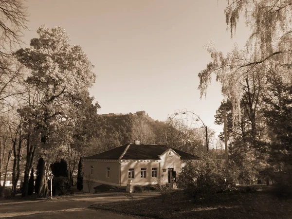 Goldener Herbst Alten Park — Stockfoto