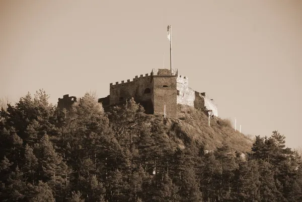 Allgemeiner Blick Auf Den Burgberg — Stockfoto